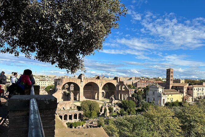 Ancient Rome Discovery: Colosseum, Forum, Palatine Guided Tour - Palatine Hill: imperial residences and the view that sells the story