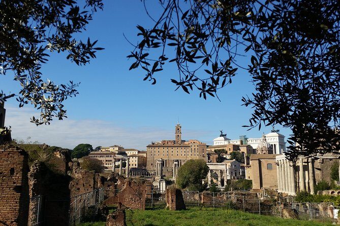 Colosseum and Roman Forum Private Tour led by an archaeologist - What you’re paying for: $270.93 and what’s included
