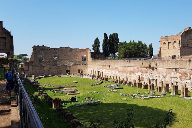 Colosseum Arena Floor Roman Forum and Palatine Hill Live Guide - Meeting point, finding your group, and security reality checks