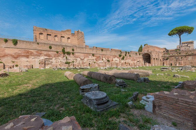 Colosseum Arena, Forum and Palatine Hill Tour - Roman Forum: Daily Life Meets Political Power