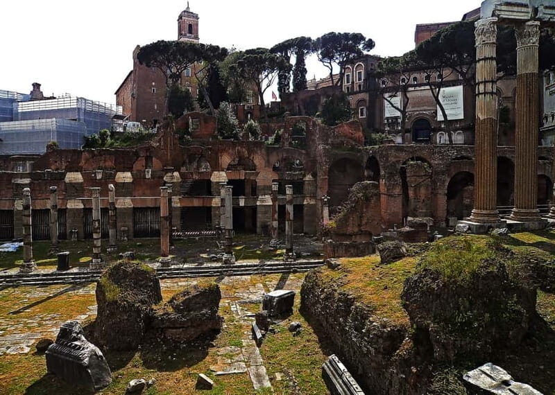 Colosseum, Forum & Palatine Hill Guided Walking tour - Who should book this Colosseum-Forum-Palatine tour