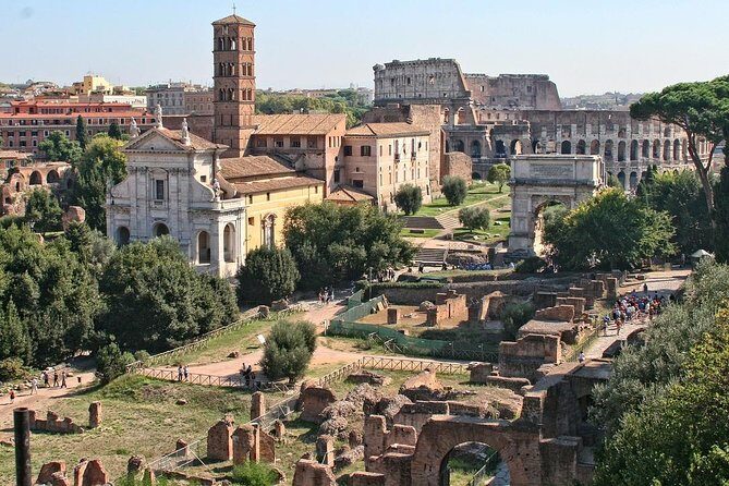 Colosseum, Palatine Hill, and Roman Forum Private Tour - Small practical tips that prevent big Rome headaches