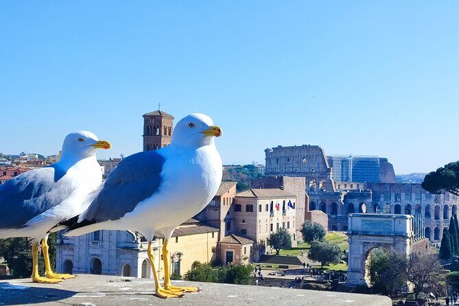 Colosseum, Roman Forum & Palatine Hill - Group Tour - The Colosseum-Forum-Palatine combo that actually makes sense
