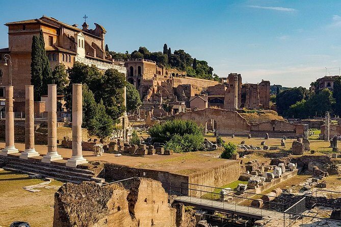 Colosseum, Roman Forum,& Palatine Hill private tour - How a private guide changes the experience (and keeps it fun)