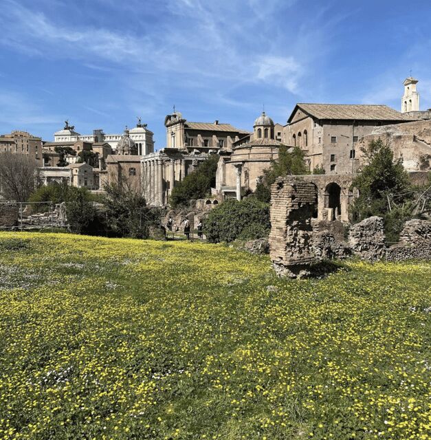Colosseum, Roman Forum, Palatine Hill - the PRIVATE TOUR - Key highlights at a glance