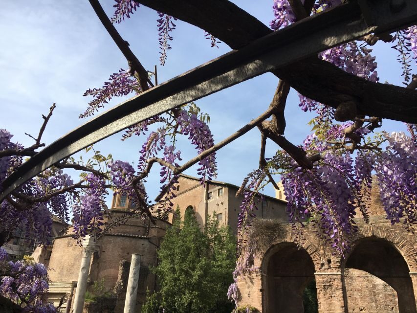 Colosseum, Roman Forum, Palatine Hill - the PRIVATE TOUR - Who This Tour Fits Best