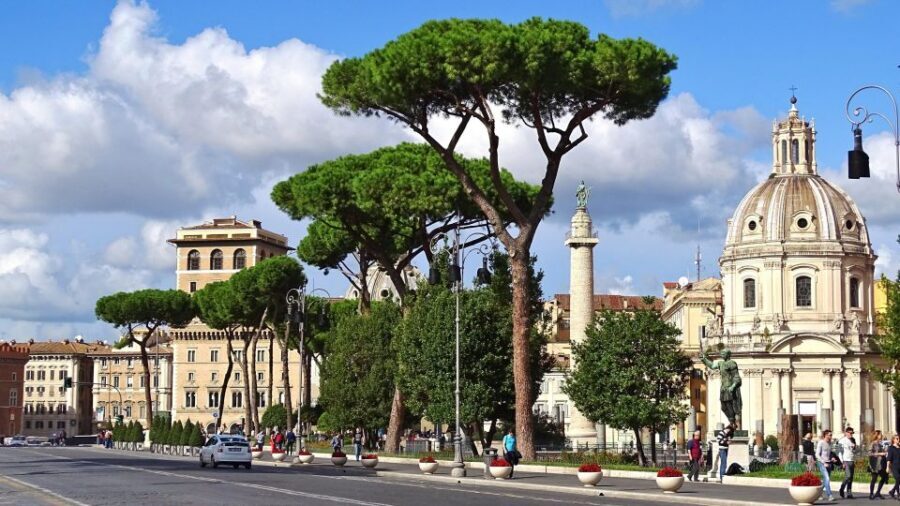 Colosseum, Roman Forum, Palatine Hill - the PRIVATE TOUR - Roman Forum: Where Politics and Business Collided