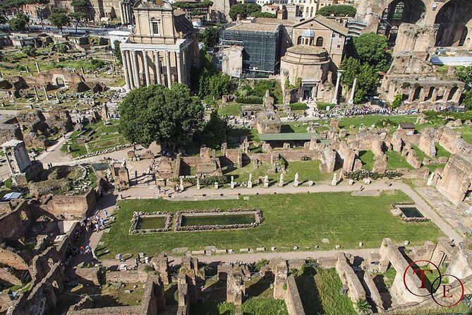 Colosseum with Gladiator Arena Floor, Forum & Palatine Hill Tour - Stop 2: Roman Forum from street level
