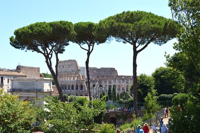 Esclusive Colosseum Tour with Roman Forum & Palatine Hill Access - What the Guides Are Really Delivering