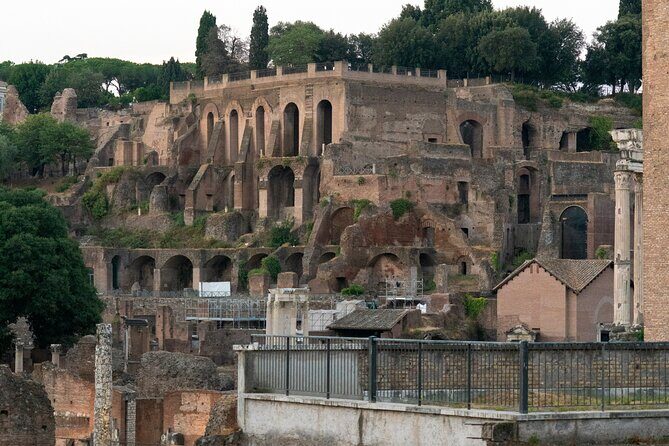 Guided tour of Colosseum, Roman Forum and Palatine hill - Group size, pacing, and hearing the guide clearly