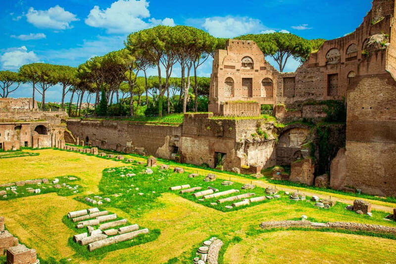Guided Tour of the Colosseum Palatine Hill and Roman Forum - Roman Forum: politics, commerce, and daily life in stone