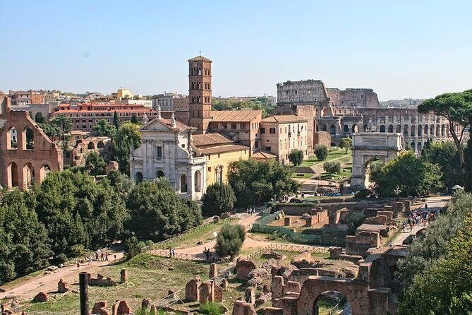 Guided Tour of the Colosseum with Access to the Arena, Roman Forum and Palatine Hill - Rings, imperial terrace, and what you actually see