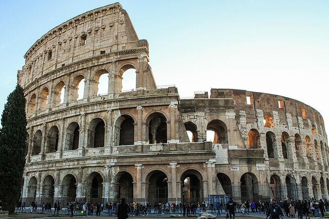 Guided Tour of the Colosseum with Access to the Arena, Roman Forum and Palatine Hill - Language, group size, and how to work with your guide