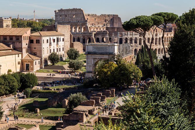 Private Colosseum, Roman Forum, and Palatine Hill Guided Tour - What Customizing the Art History Commentary Means in Real Life