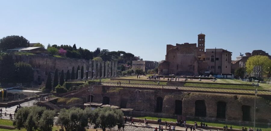 Rome: Colosseum Arena, Forum & Palatine Hill Private tour - The Roman Forum: Where Politics and Daily Life Collide