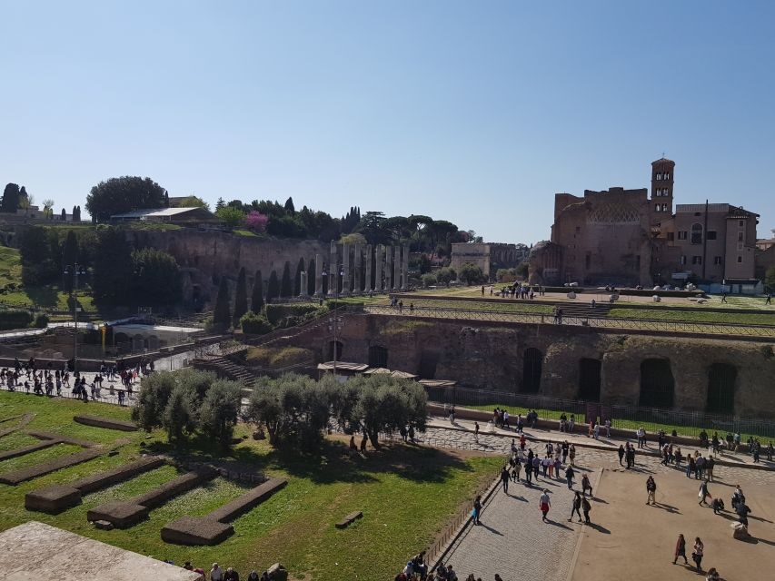 Rome: Colosseum Arena, Forum & Palatine Hill Private tour - Timing, Weather, and the Arena Floor Issue