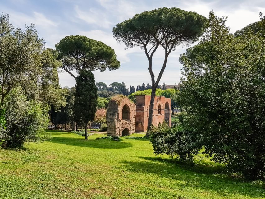 Rome: Colosseum Arena, Palatine Hill & Forum Guided Tour - Key things you’ll notice on this Colosseum, Forum, Palatine tour
