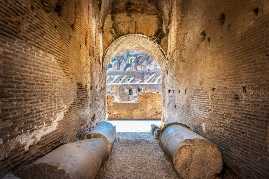 Rome: Colosseum Express Tour with Forum & Palatine Access - What the guide actually adds inside the arena