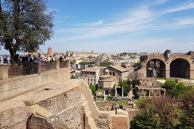 ROME: colosseum gladiator arena forum& palatine guided tour - Palatine Hill in 25 minutes: what you can realistically grasp