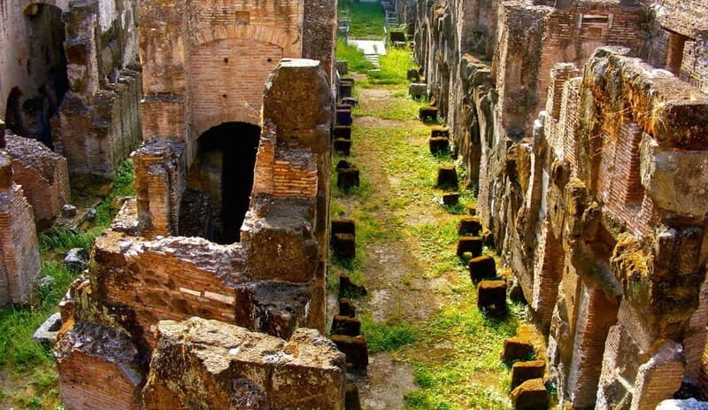 Rome: Colosseum Gladiator's Arena and Roman Forum Tour - Who This Tour Best Fits