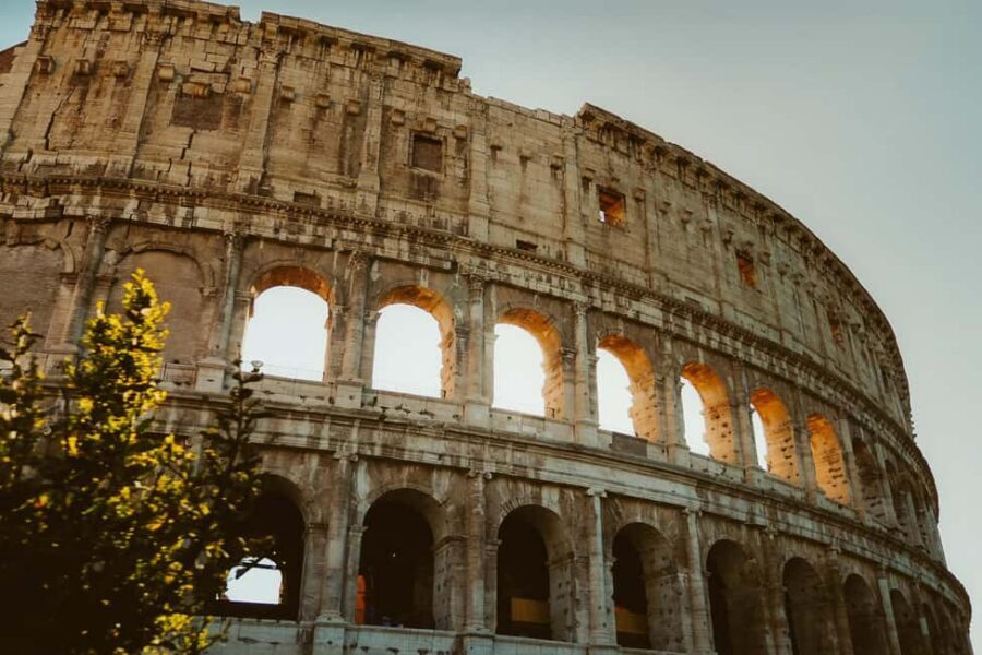 Rome: Colosseum, Palatine Hill, and Forum Guided Experience - Palatine Hill and the Roman Forum: Ruins at Twilight, Not Just a Checklist