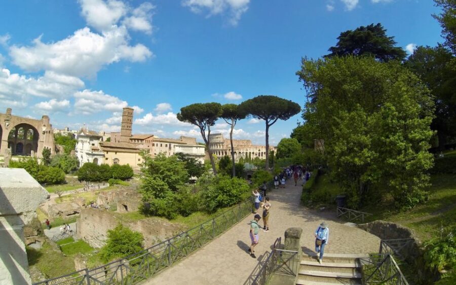 Rome: Colosseum, Roman Forum, and Palatine Hill Tour - The Roman Forum: where Rome’s power lived