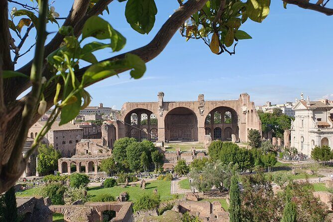 Rome: Colosseum, Roman Forum & Palatine Hill Experience - Palatine Hill: viewpoints and the story of Rome’s founding area
