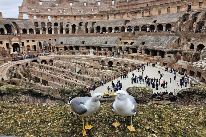 Rome: Colosseum, Roman Forum & Palatine Hill Visit + Audio Guide - Your one-hour Colosseum plan: self-guided, not rushed
