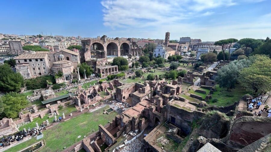 Rome: Colosseum Underground, Forum and Palatine Hill Private - Ground-floor to first-level Colosseum views: seeing the crowd system up close