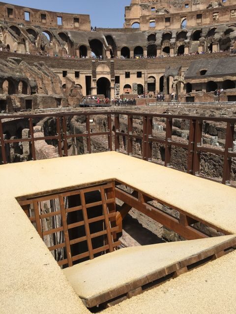 Rome: Colosseum, Underground & Roman Forum Private Tour - Logistics that actually affect your comfort