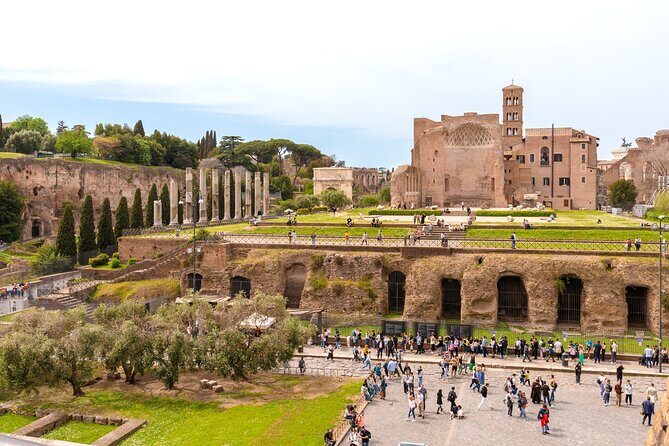 Rome: Colosseum with Roman Forum & Palatine Hill Guided Tour - Meeting point, tickets, and the ID rule that can stop entry