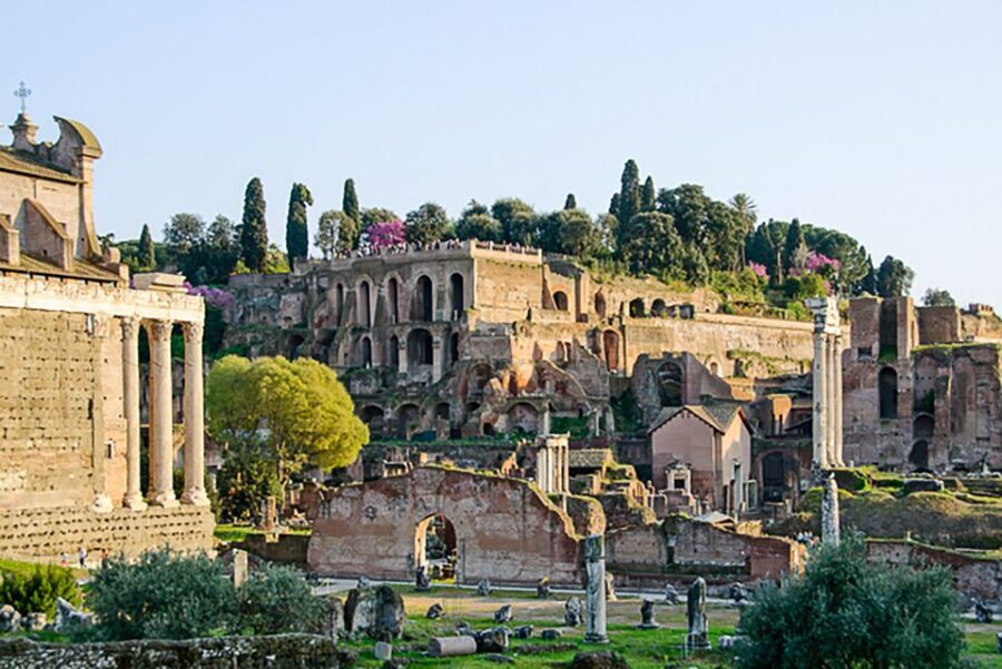 Rome: Guided Tour of Colosseum, Roman Forum & Palatine Hill - Colosseum history you can actually picture, plus smart photo direction
