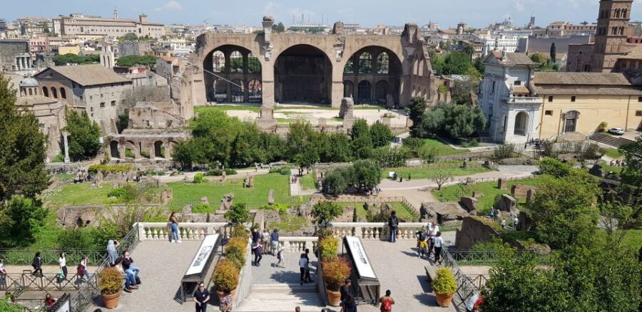 Rome: Small-Group Colosseum, Roman Forum & Palatine Hill - Palatine Hill: Views, Imperial Palaces, and Origins