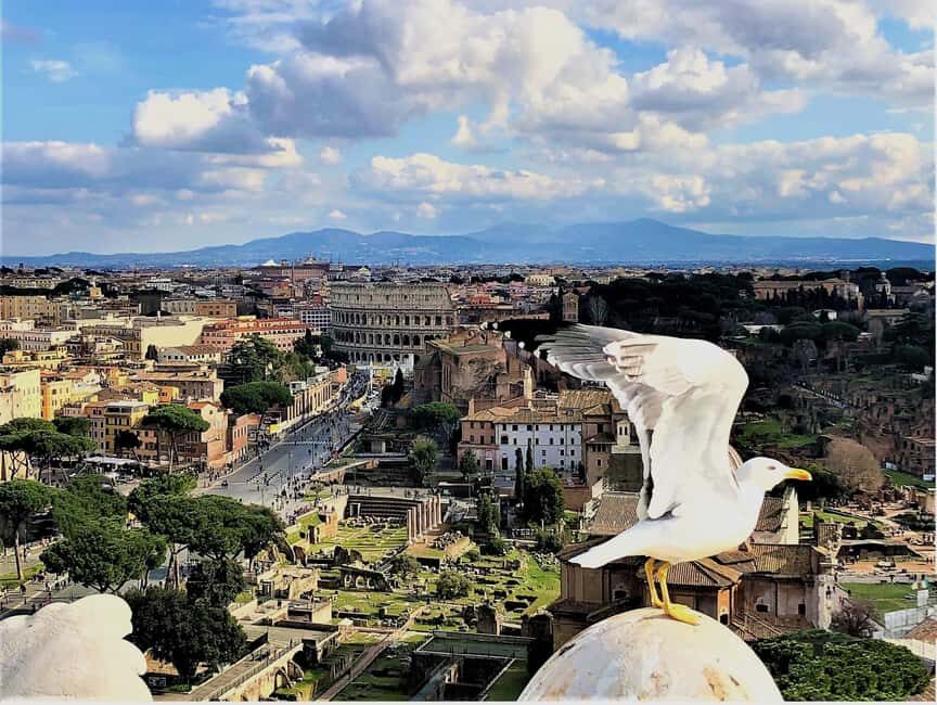 Rome: Vatican, Colosseum & Main Squares Tour w/ Lunch & Car - Pantheon and Piazza Navona: seeing Rome’s design language fast