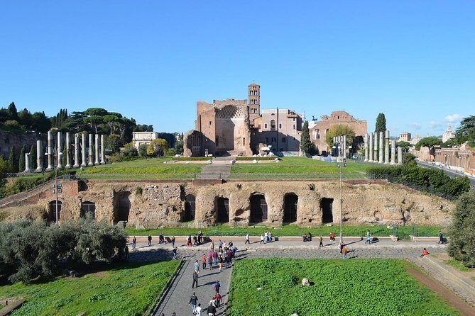 Small Group Colosseum, Roman Forum and Palatine Hill Guided Tour - Price and Value: Does $85.92 Make Sense?