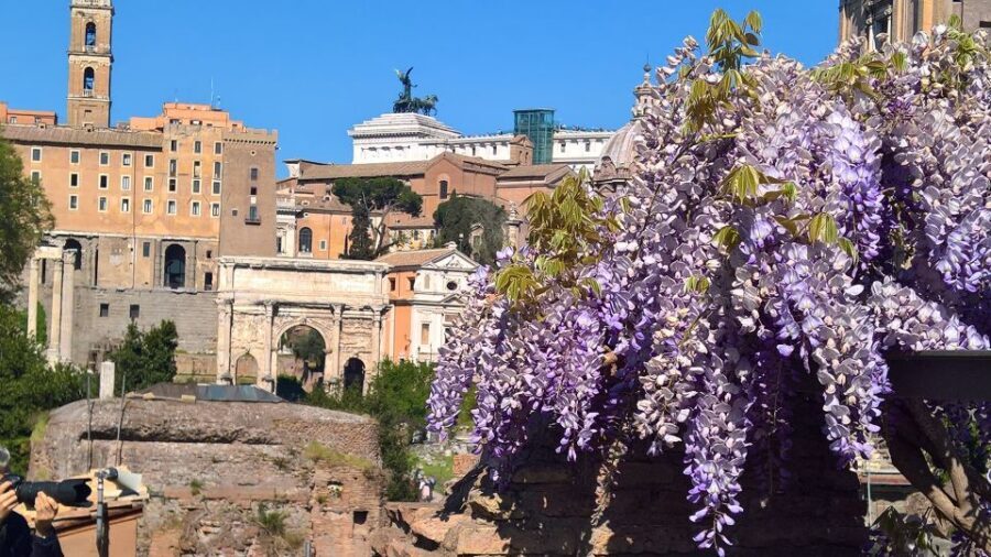 Tour of Colosseum & Roman Forum with Dutch Guide - Small practical tips that make a difference on this route