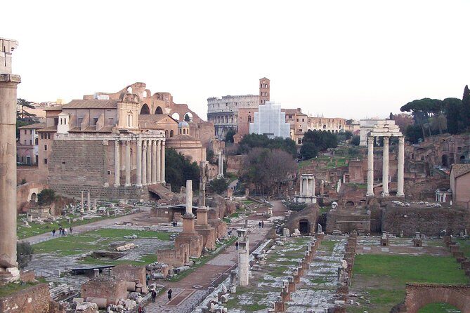 Walking Tour of the Colosseum, the Roman Forum and Palatine Hill - Roman Forum: the civic heart in a focused window